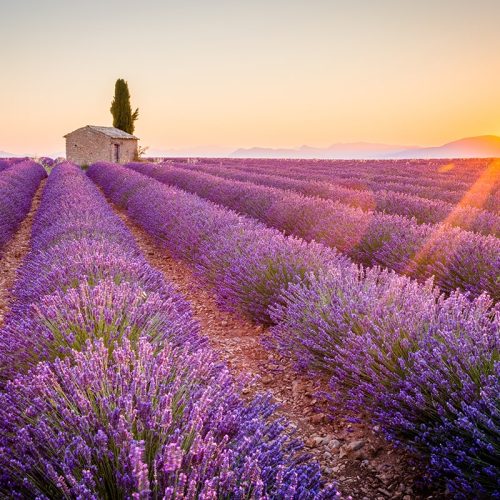 Photo Aix en Provence(3)-min